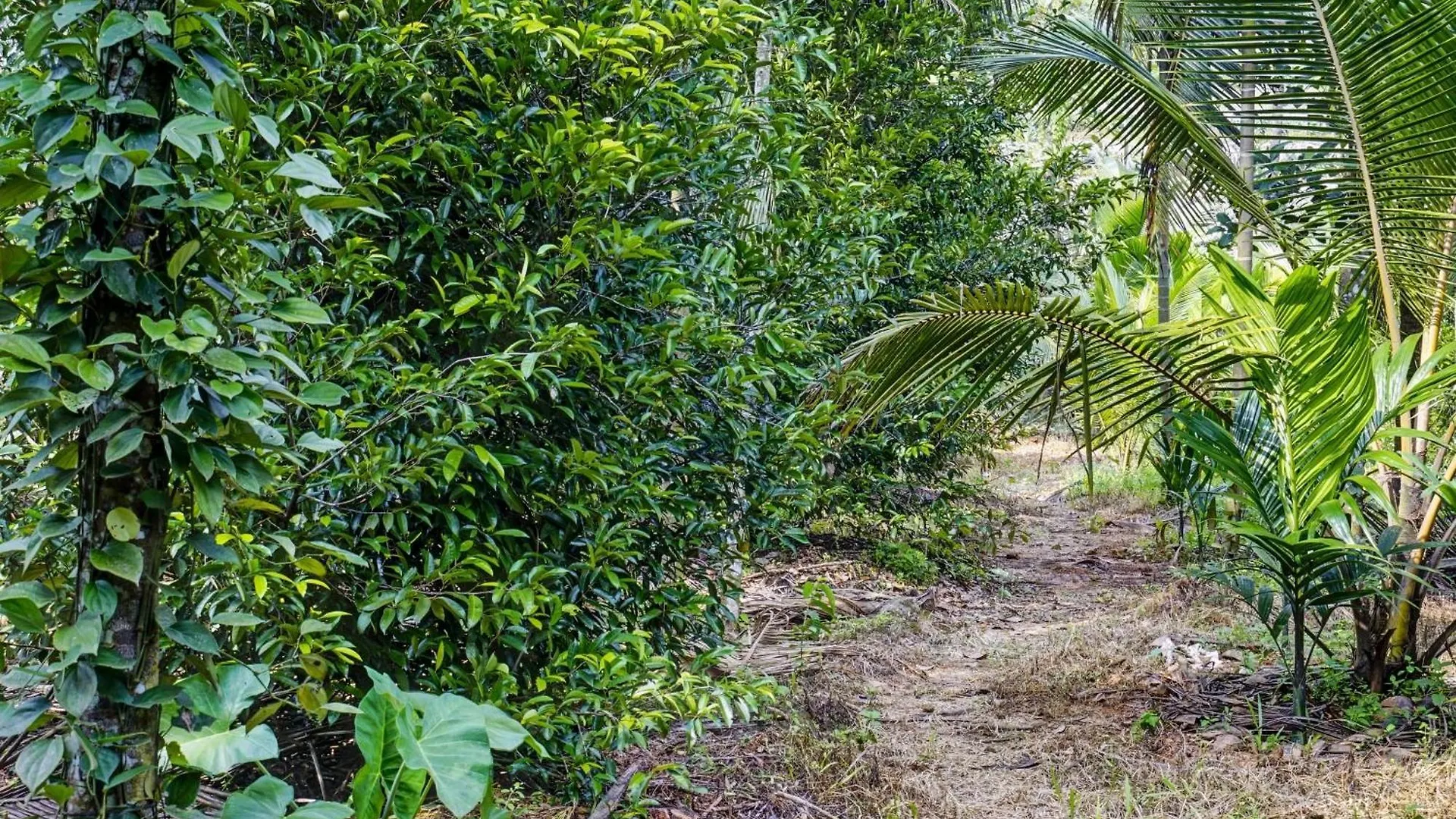 Hotel Spot On Shalom Palace Residency Neriyamangalam